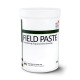 Field Paste Field Paste