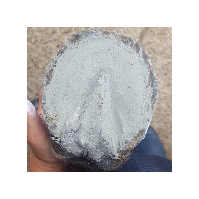 Field Paste Field Paste