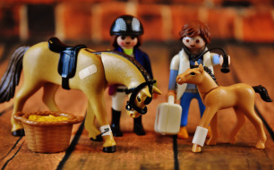 L'Equin'Ox Shop soutient les vétérinaires et les étudiants vétérinaires