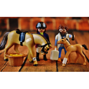 L'Equin'Ox Shop soutient les vétérinaires et les étudiants vétérinaires