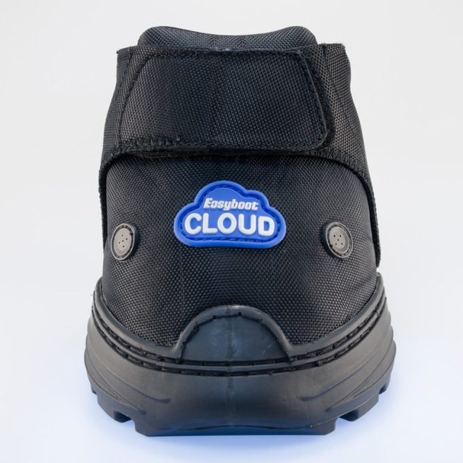 Hipposandales vétérinaires Cloud