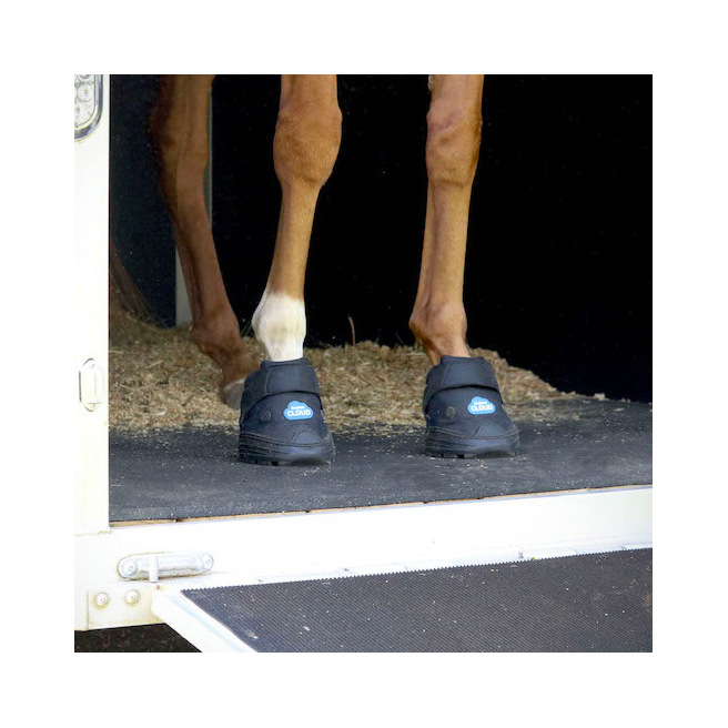 Hipposandales vétérinaires Cloud