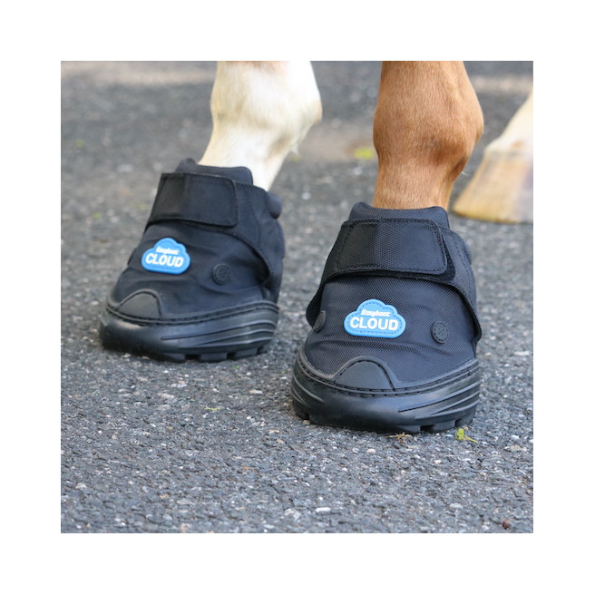 Hipposandales vétérinaires Cloud