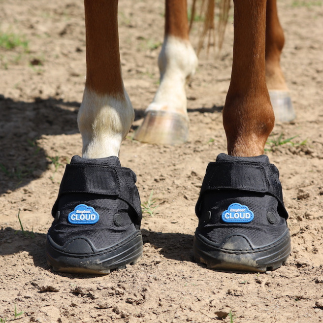 Hipposandales vétérinaires Cloud