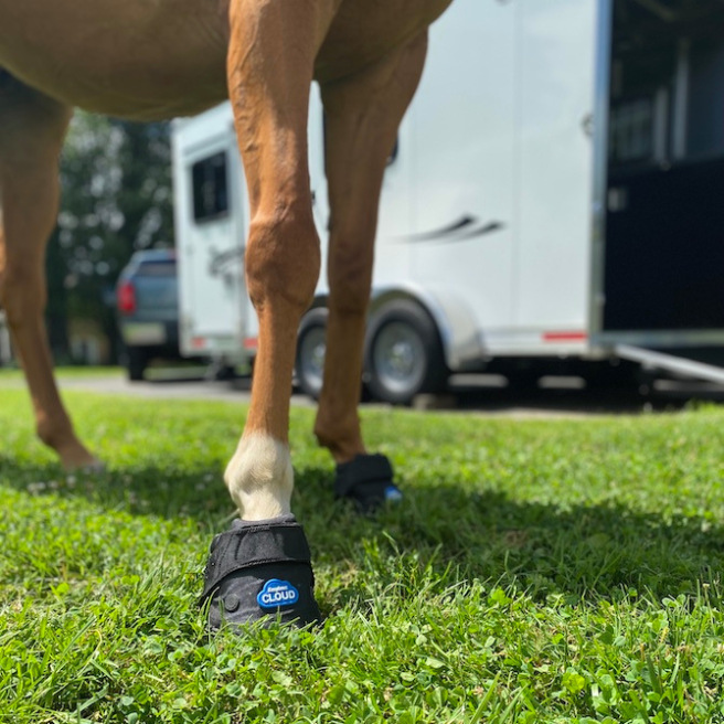 Hipposandales vétérinaires Cloud