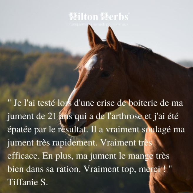 Releaf Gold par Hilton Herbs® - 1L Releaf Gold par Hilton Herbs® - 1L