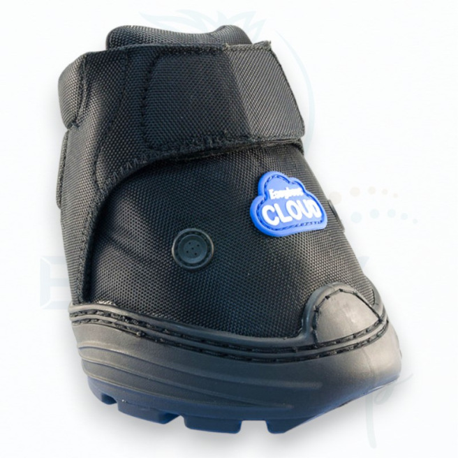 Hipposandales vétérinaires Cloud