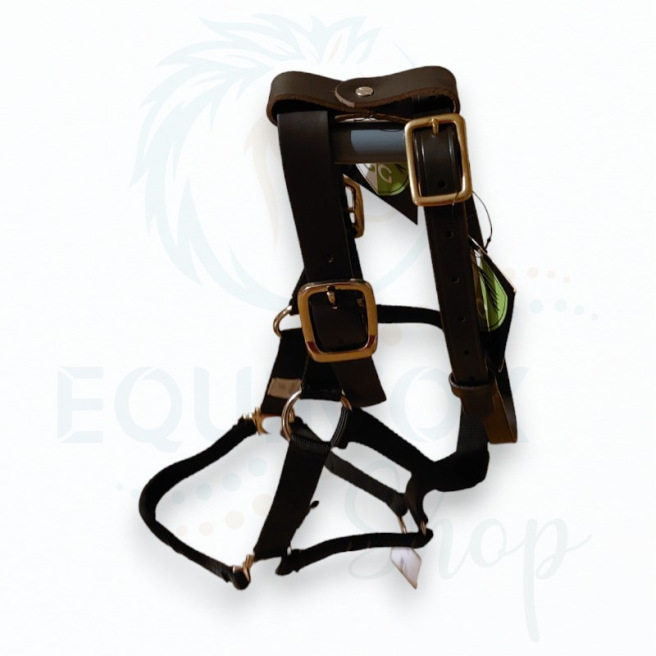 Lanière de sous-gorge supplémentaire