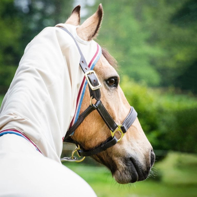 Couverture anti-dermite Horseware® Rambo® Hoody