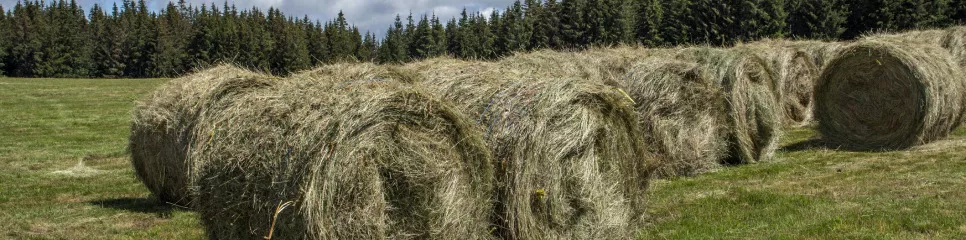 Accessoires pour le foin