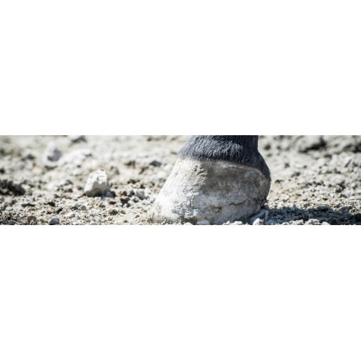 Soin des pieds