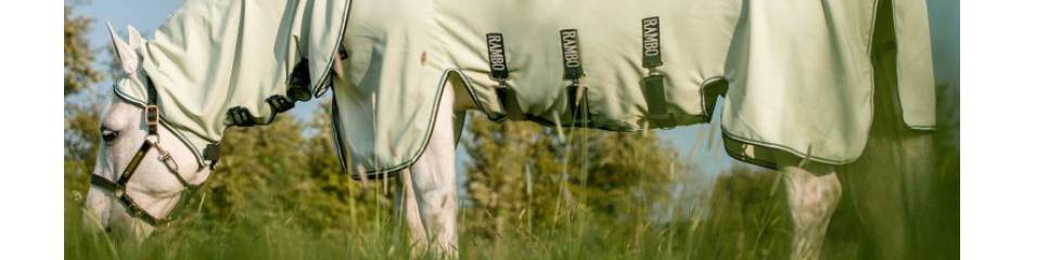 Protection anti-insectes et dermite estivale