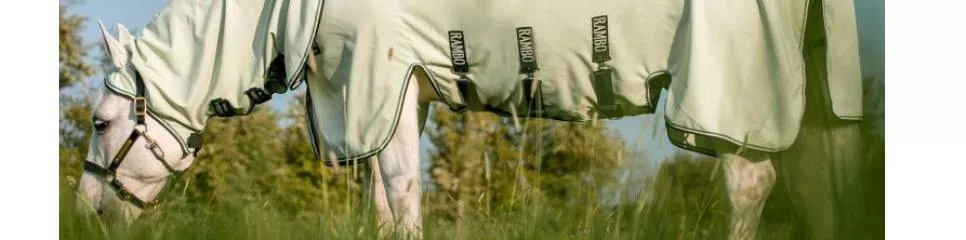 Protection anti-insectes et dermite estivale