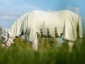 Protection anti-insectes et dermite estivale