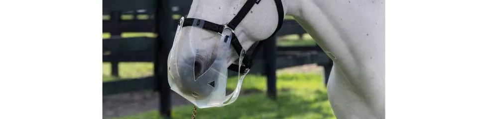 Paniers anti-fourbure