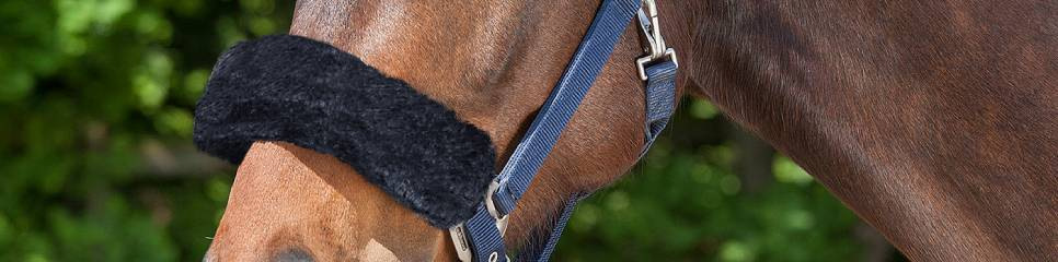 Moumoutes et protections de licol