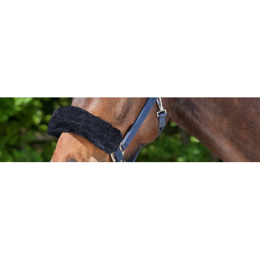 Moumoutes et protections de licol