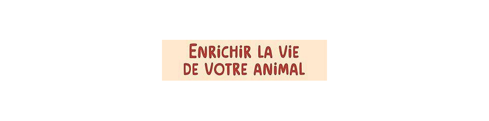 Enrichissement du milieu du cheval