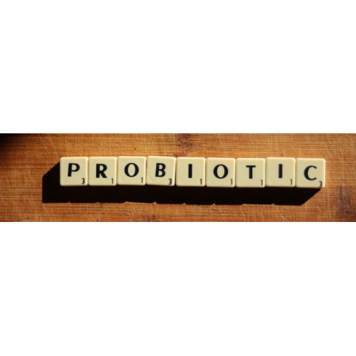 Probiotiques