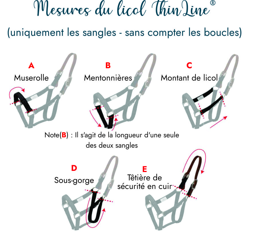 Mesures du licol Thinline® Francais