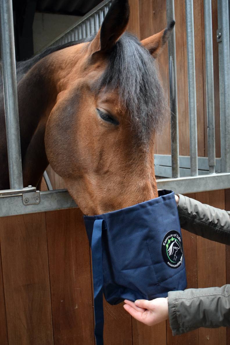 Mode d'emploi Mask'Eol