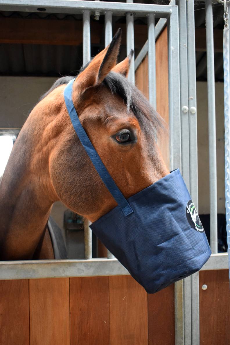 Mode d'emploi Mask'Eol