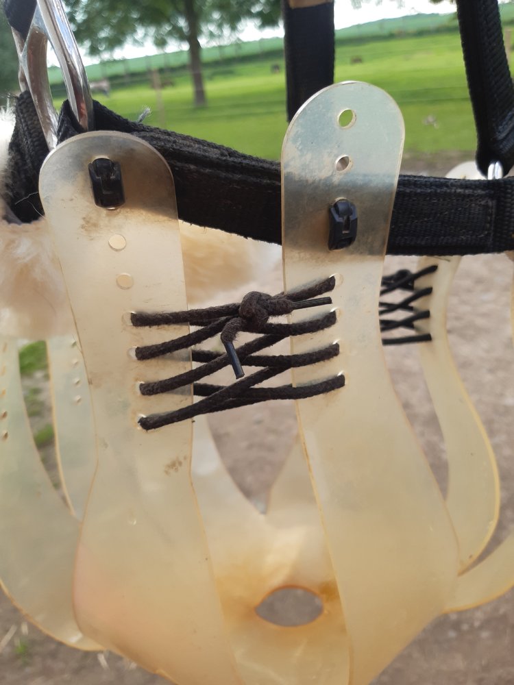 Panier ThinLine avec lacet