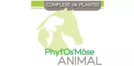 Phyt'Os'Môse
