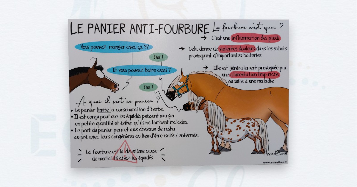 Plaque Personnalisée Porte écurie – Peinte à La Main Pour Cheval Ou Poney